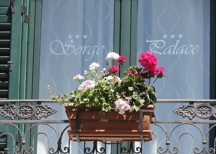 Sorge Palace
