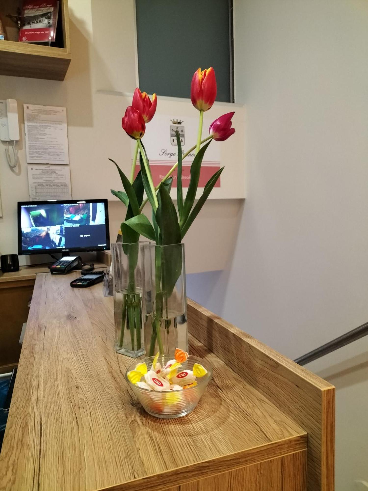 Guest house Sorge *