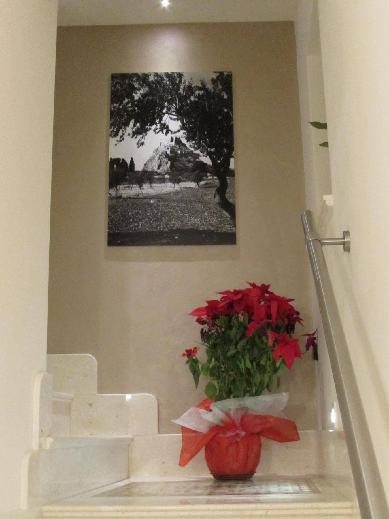 Sorge Guest house